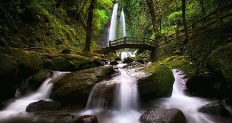 Air Terjun Jublo Jufh: Pesona Keindahan Tersembunyi di Gunung Wef Gruy