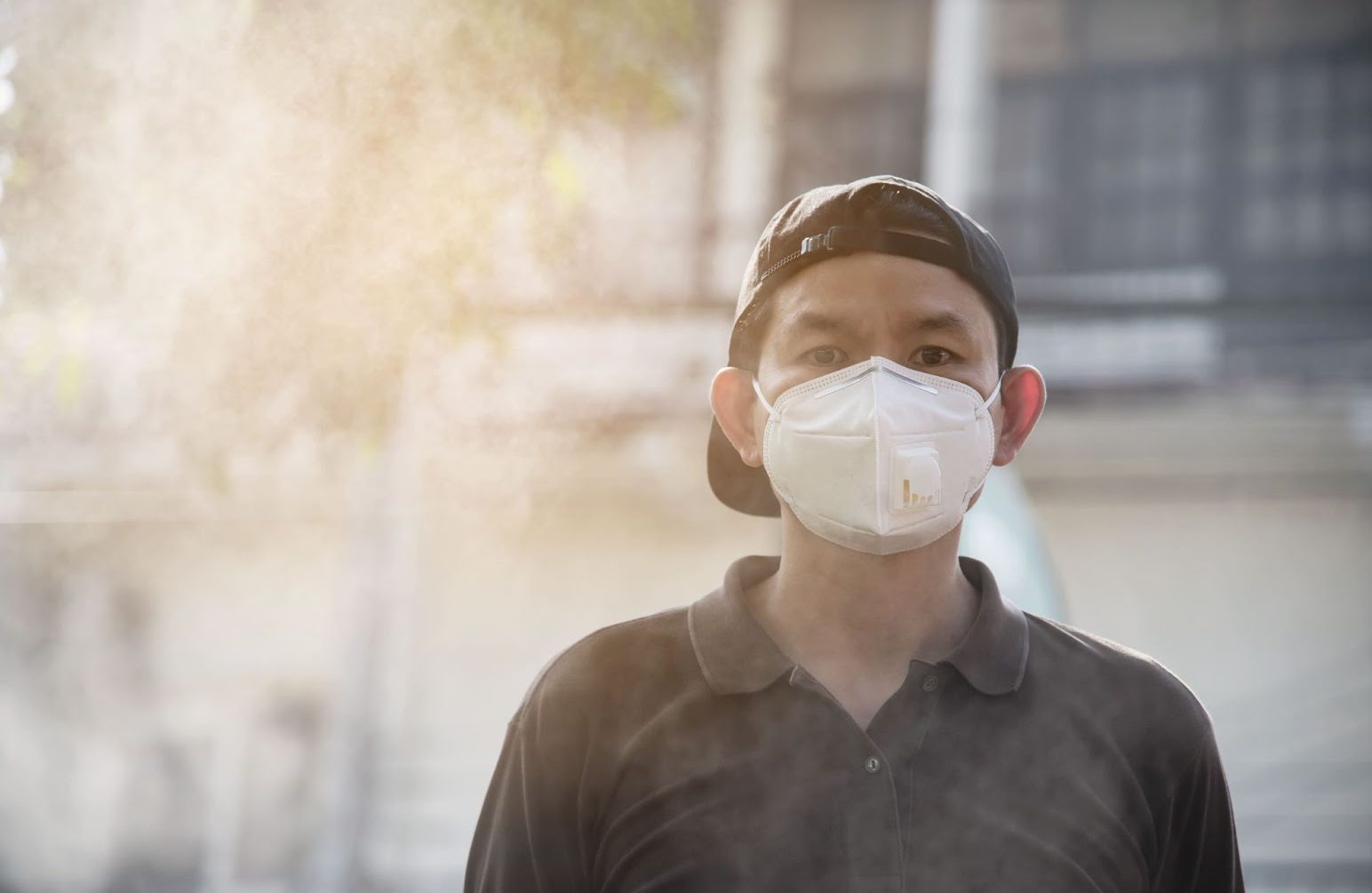 Polusi Udara dan Dampaknya pada Sistem Hormon Manusia