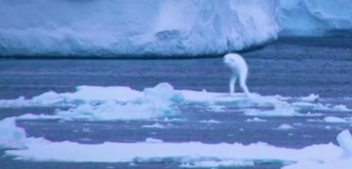 Fenomena Makhluk Mirip Manusia Terlihat di Antartika, Mau Melihat?
