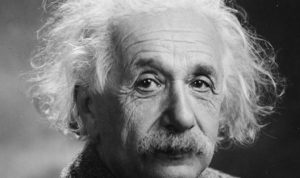 Otak Einstein Berharga di Marketplace di China