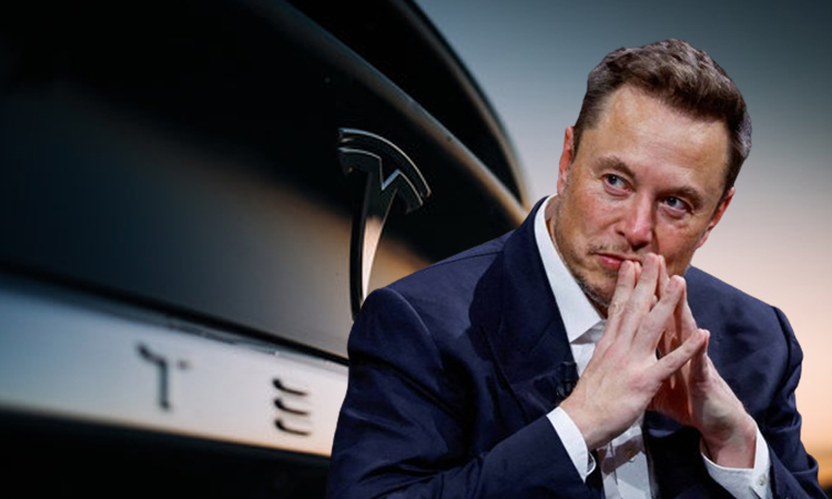 Optimus lebih murah dari mobil Tesla