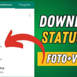 Cara Download Story Wa